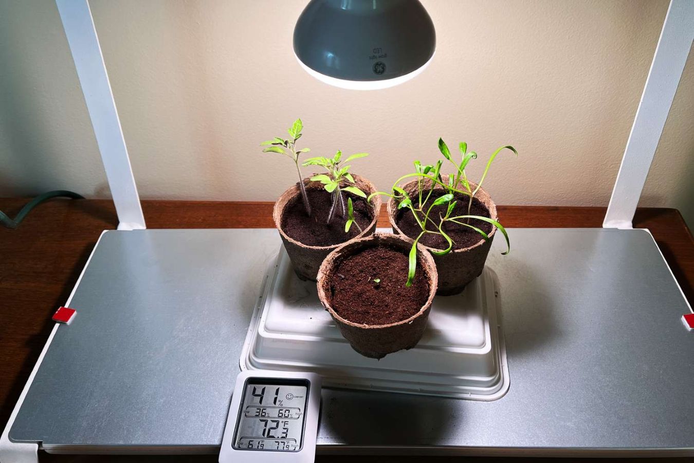 Do Plant Growing Lights Work: Analysis Guide - Flyachilles