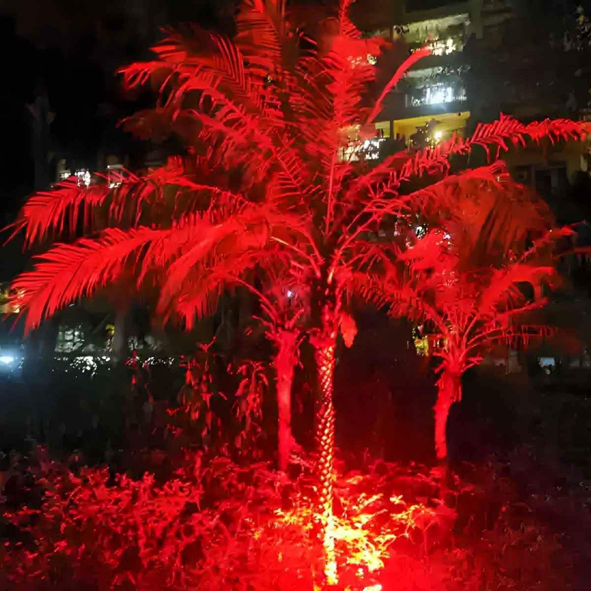 24V Waterproof Outdoor Landscape Tree Lighting - Flyachilles