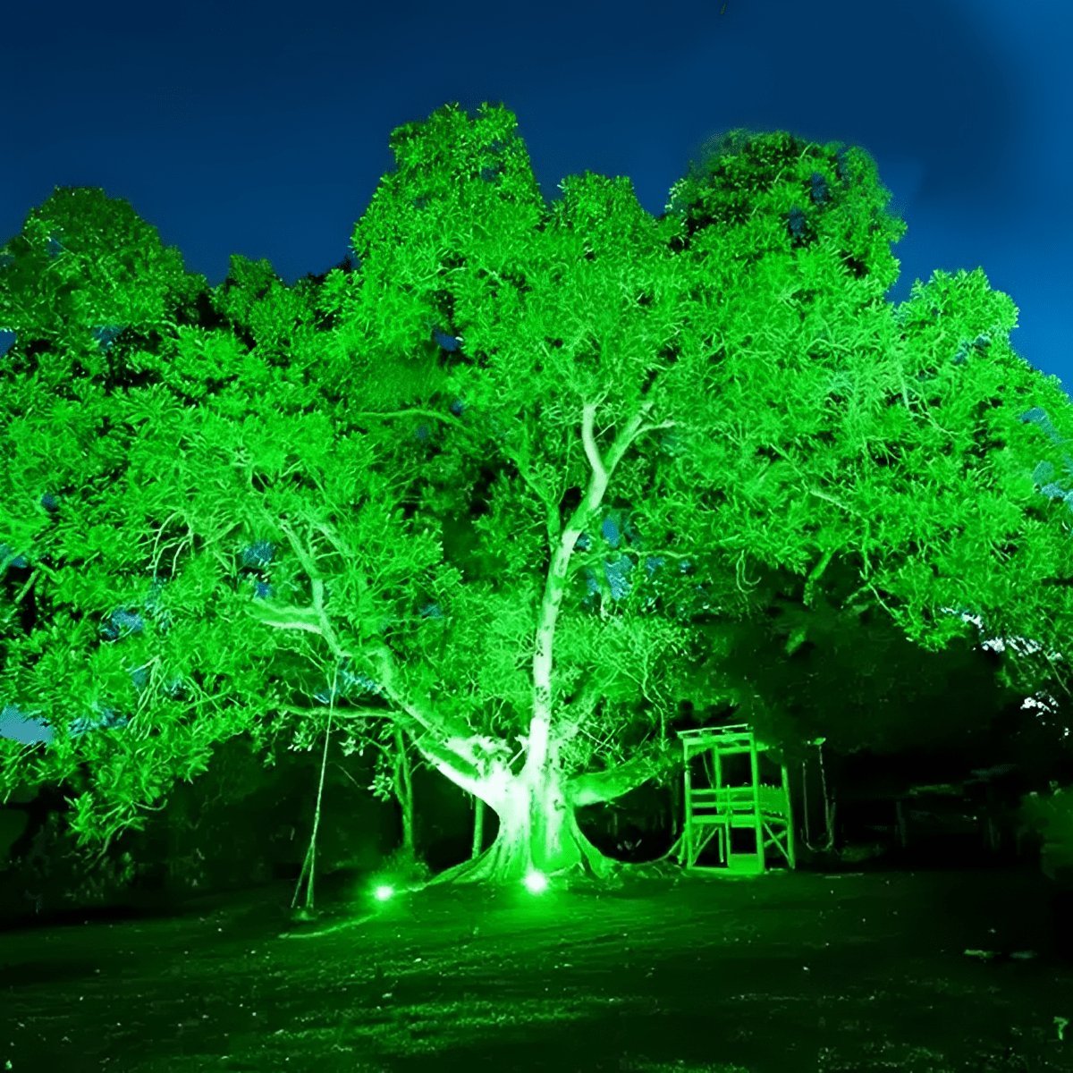 24V Waterproof Outdoor Landscape Tree Lighting - Flyachilles