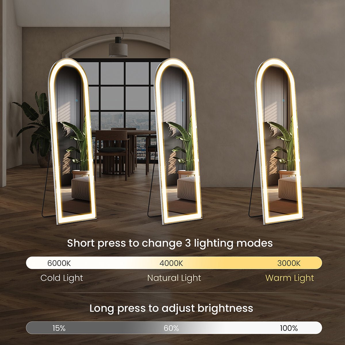 3 Color LED Lights Full Body Floor Mirror with Stand, Wall Mounted Hanging - Flyachilles