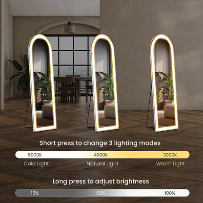 3 Color LED Lights Full Body Floor Mirror with Stand, Wall Mounted Hanging - Flyachilles