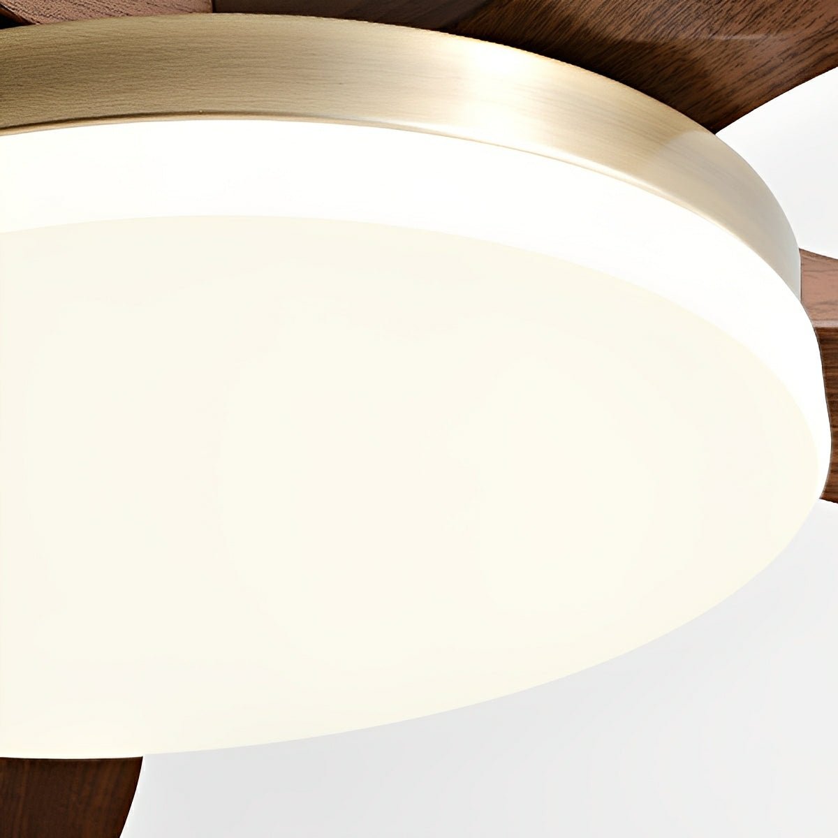 Modern Minimalist 3 - Blades DC Motor Reverse Full - Spectrum LED Ceiling Fan Light - Flyachilles