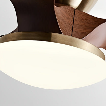 Modern Minimalist DC Motor Reverse Ceiling Fan Light - Flyachilles