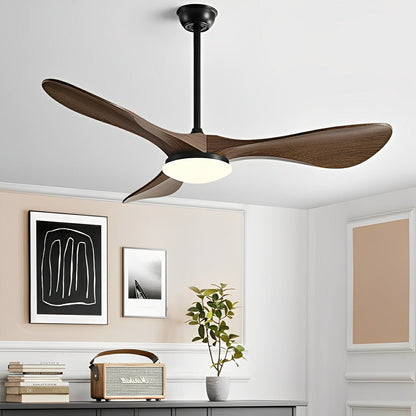 Modern Minimalist DC Motor Reverse Ceiling Fan Light - Flyachilles