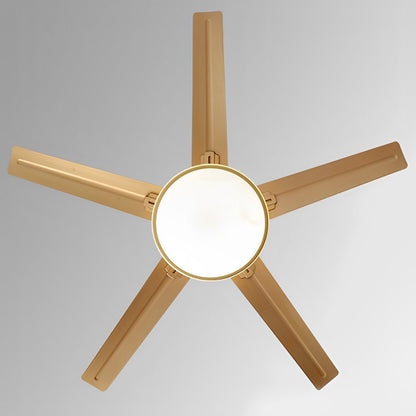 Modern Minimalist Five - leaf Stainless Steel Ceiling Fan - Flyachilles