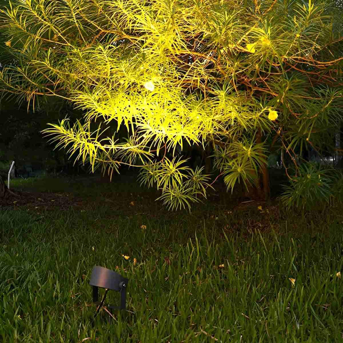 Outdoor Waterproof Bird&