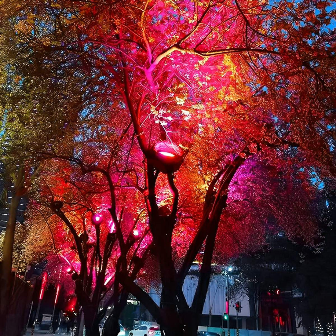 Outdoor Waterproof Bird&