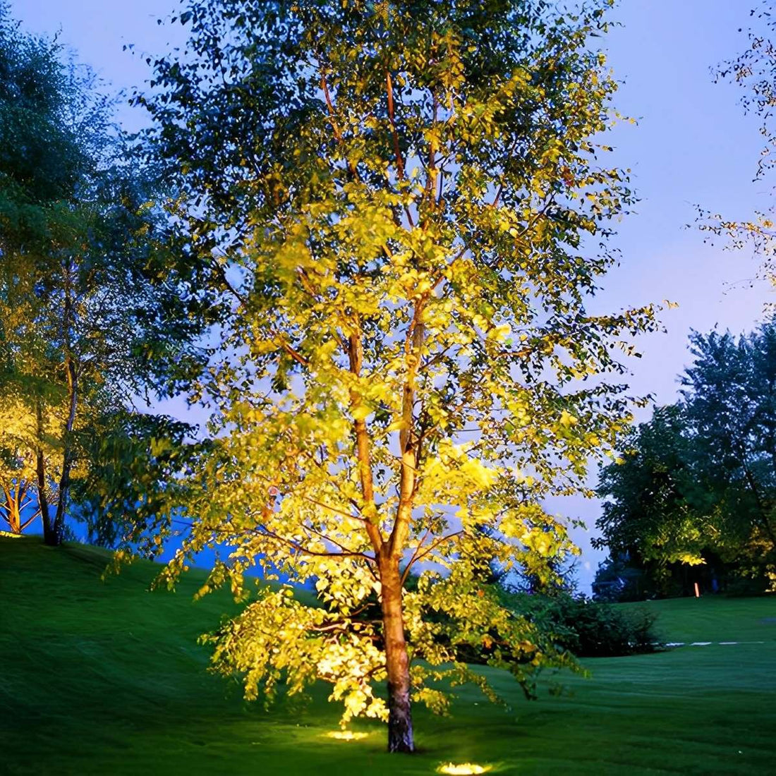 Round Waterproof Outdoor LED Spot Lights Building Exterior Light - Flyachilles