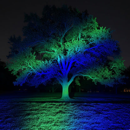 Tunable Outdoor Waterproof RGB LED Spot Light Landscape Tree Lighting With Remote Control - Flyachilles