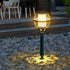 Waterproof Solar Outdoor LED Lawn Landscape Lighting - Flyachilles